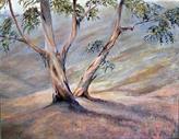 Australian landscape II - oil